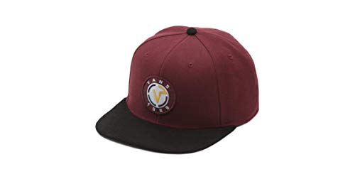 Vans Pinpoint Snapback Hat