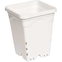 1/cs 6"x6" Square White Pot, 8