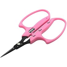Cactus grape scissors handle large narrow sled B-1 MFPB (japan import)