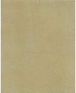 Natural Sheep Skin Parchment- One 8x10 Inch Sheet
