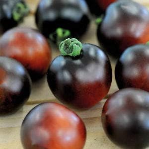 Indigo Cherry Heirloom Tomato Premium Seeds for Planting Packet