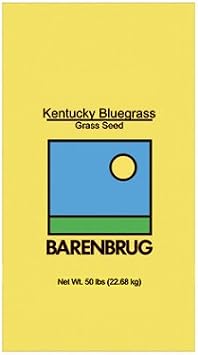 Kentucky Bluegrass