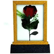 GOWE Lightning Rose Frame Changes Rose Appearing In Frame Magic Tricks,Stage,Gimmick,Props,comedy,Comedy