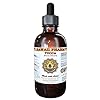 Yucca (Yucca glauca) Liquid Extract 2 fl.oz