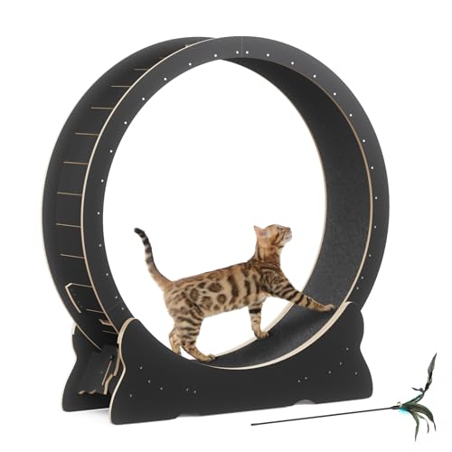 Cat Exercise Wheel, 46 Cat Wheel for Indoor Cats with Carpeted Runway, XL Treadmill with Removable Carpet and Teaser, for Running Walking Training Black