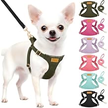 Lukovee No Pull Small Dog Harness with Leash - Lightweight Soft Puppy Vest Harnesses, Adjustable Pet Harnesses for Puppy Small Dogs (Green, XXS)