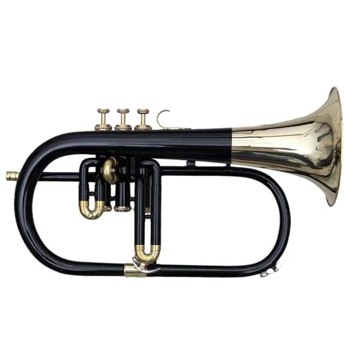 Flugel Horn Pitch Three Valve Key Bb Free Hard Case Mouthpiece Black