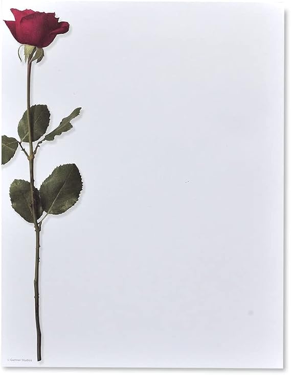 Gartner Studios Long Stem Rose Stationery Paper, 40-Count, 8.5" x 11", Office Supplies, with 50#10 Envelopes, Red (95226)
