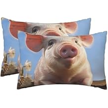2 Pack Queen Size Pillow Cases with Zipper, Soft Breathable Pillowcase for Hair and Skin, 20"x30" Pillow Covers for Sleeping Gift Bed Pillow Case Cute Pig Pillowcases