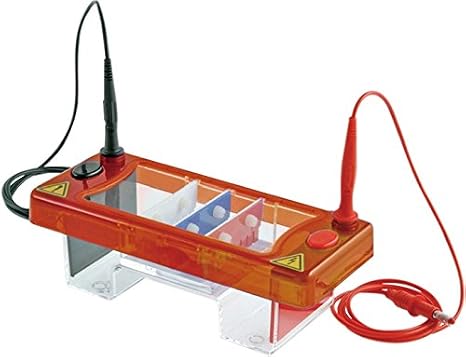 Biologix 03-3100 Plastic Electrophoresis Tank