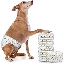 LeapSheep Disposable Dog Diapers Male, Super Absorbent Male Dog Wraps, Puppy Diapers for Doggie Training, Excitable Urination, Incontinence (Medium, 50ct)
