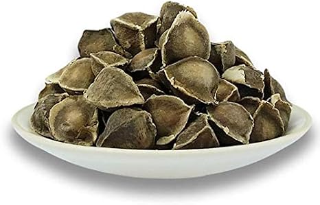 100 Moringa Seed - Oleifera Drumstick Seeds Non-GMO for Sprouting, Planting, Cooking. Unprocessed Seeds