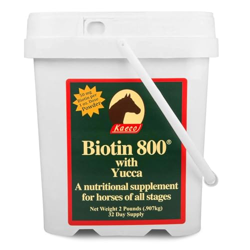 Biotin 800 Powder
