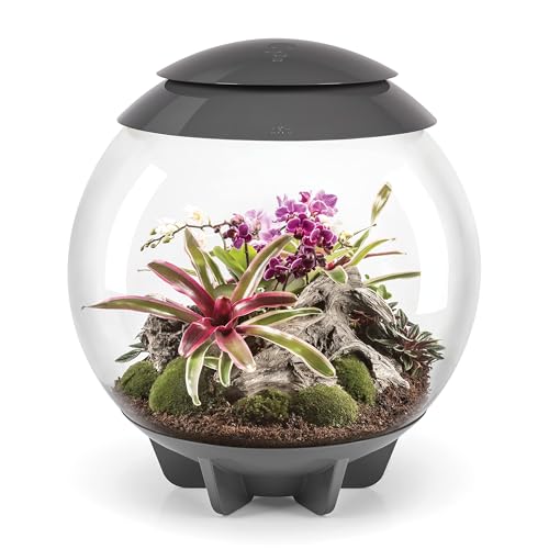 biOrb biOrbAIR 60 LED Terrarium - 16 gallon, grey,46148
