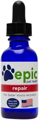 Repair - Electrolyte Supplement for Faster Injury and Illness Recovery Naturally, Made in USA Dropper, 1 Ounce
