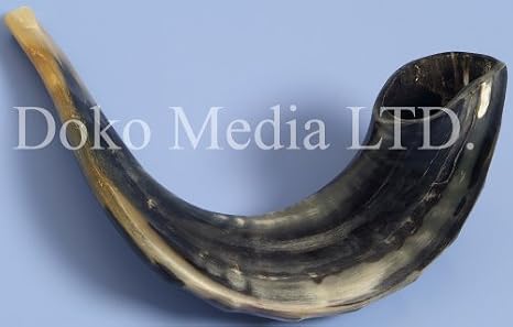 Traditional Black Semi Finished Ram's Horn Jewish Shofar