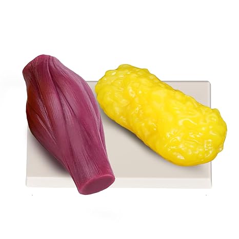 1lb Human Fat Muscle Replica with Base,Anatomic Model for Gym & Med Train | Realistic Anatomic Muscle Tissue & Fat Model for Gym, Hospitals, Schools Teaching Fat Muscle Presentation
