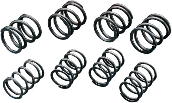 Andrews High Lift Valve Spring Set 272110