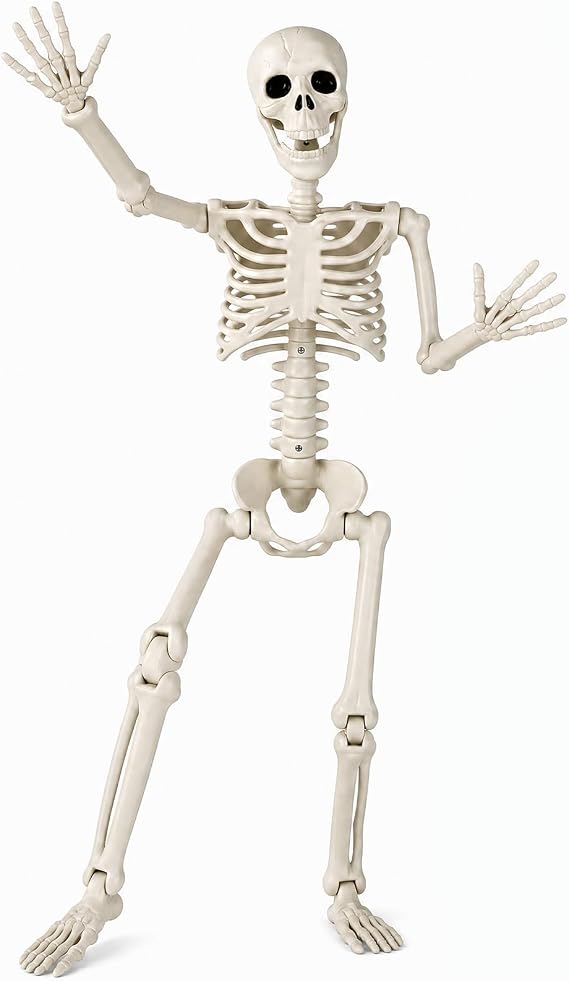 Toolterritary 36" Halloween Skeleton, 3 ft Human Skeleton Full Body Posable Joints Plastic Skeleton for Halloween Decoration, Yard Patio Lawn Garden Skeleton Spooky Party Decoration Indoor Outdoor