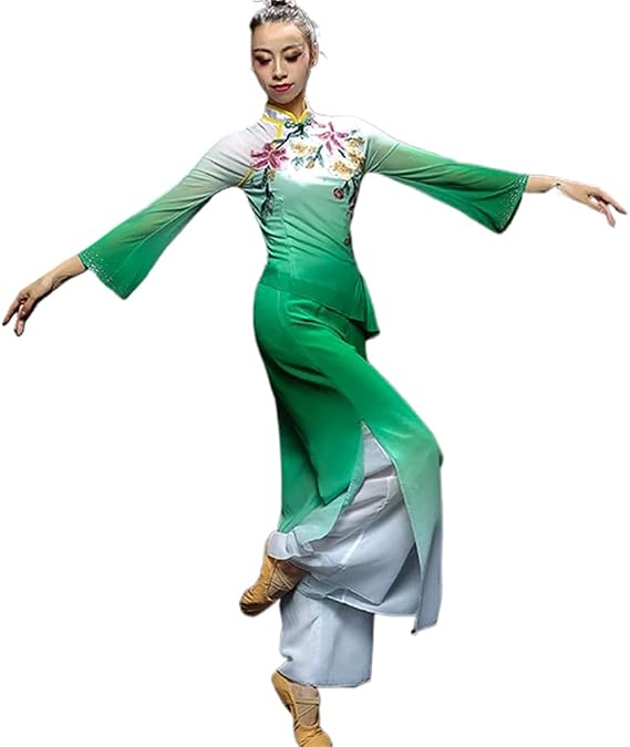 Chinese Tradition Hanfu Classical Dance Costume Female Yangko Clothing Chiffon Applique National Suit
