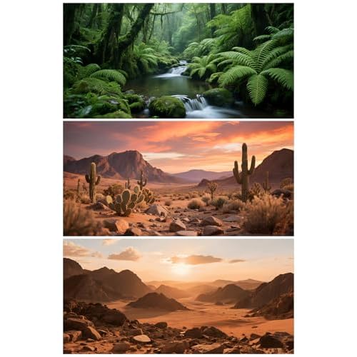 3 Pack Terrarium Background Polyester Reptile Background,Gobi Sunshine Cactus Stone & Green Tree Fern Stream Terrarium 30 inches x 12 inches