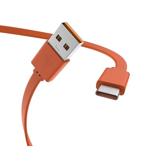 Replacement Flat USB Type C Charging Cable Charger Cord Compatible with JBL Wireless Speaker