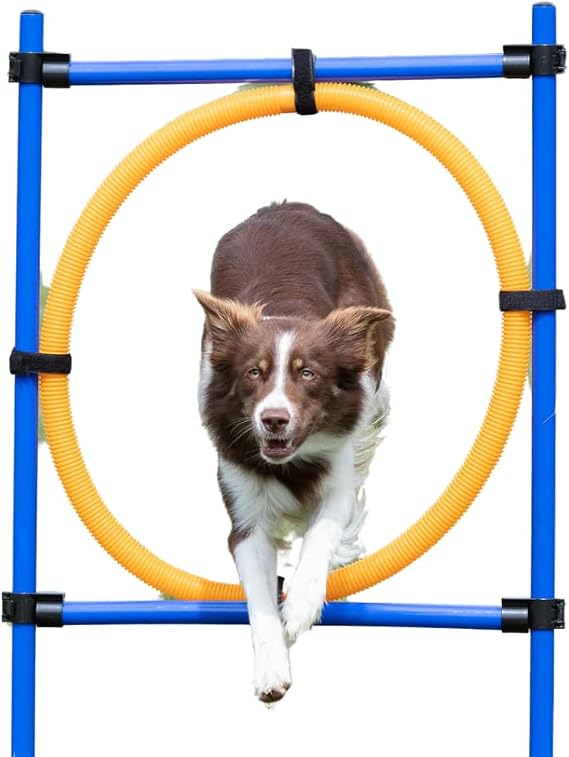 TRIXIE Dog Agility Ring Jump | Portable Dog Hoop - Agility at Home, Dog Obstacle Training Equipment