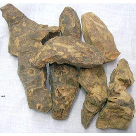 Veena CHOBCHINI - CHOPCHINI - China Root - Smilax GLABRA (50 GMS)
