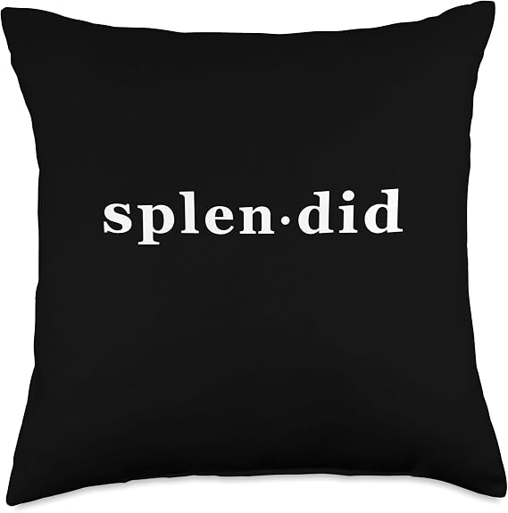 splendid Throw Pillow