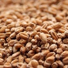 Weyermann Pale Wheat Malt 10 lb