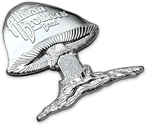The Allman Bros. Car Badge Emblem in Chrome ABS Resin Composite, Chrome Finish 3D Decal for Vehicle Exterior