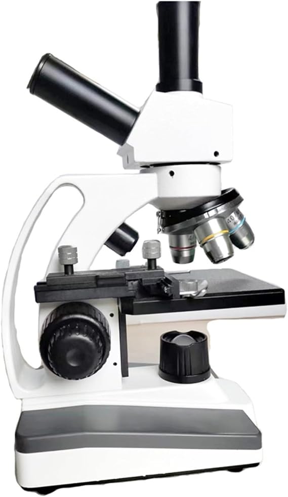 Binocular Biological Microscope with Eye 5000X Scientific Experimental Teaching Microscope (D Uniform Size)