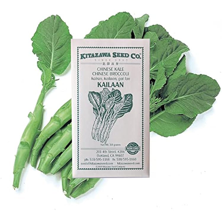 Broccoli Seeds - Chinese Broccoli - Kailaan -3 g Packet ~972 Seeds - Non-GMO, Heirloom - Asian Garden Vegetable & Microgreens