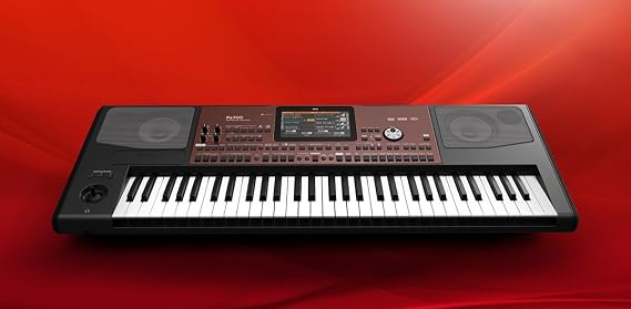 KORG PA700 Professional Arranger Keyboard