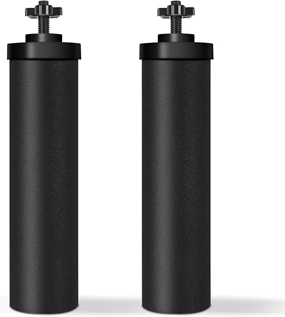 Water Filter System Replacement Berkey Water Filter Gravity Filter Replacement 2 Pack