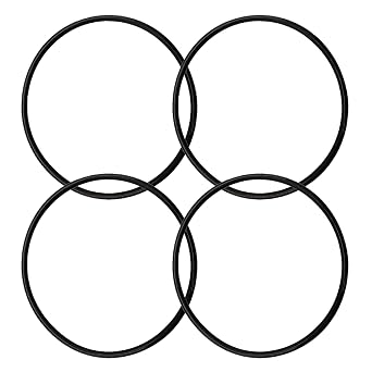 R172009 O-283 O-Ring Fits for Pentair Rainbow 300/320 Pool and Spa Chlorinator Lid(4/Pack)