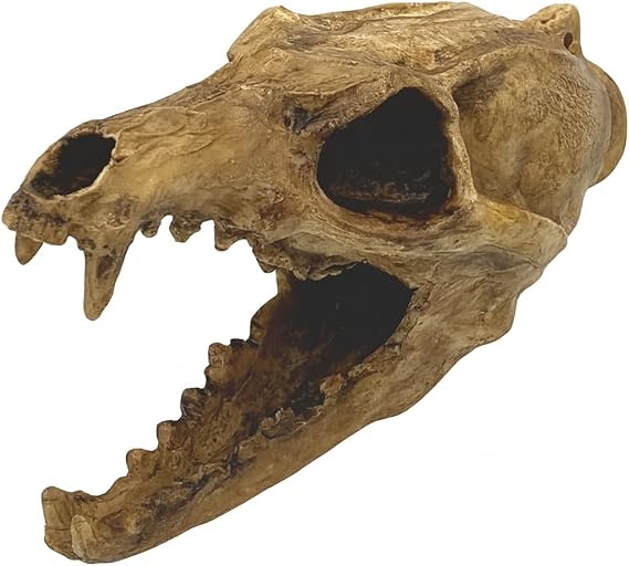 Screaming Aztec Death Whistle at 135 decibels - Carnivore