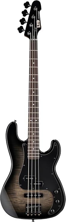 ESP LTD Surveyor-204DX Bass, Black Burst