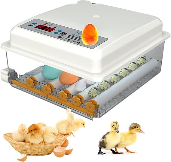Tam Otomatik Kuluçka Makinesi, Nem ve Sıcaklık Kontrollü Otomatik Yumurta Çevirici, Kuluçkalık Yumurtalar için Brooder Kuluçka Makineleri Bıldırcın Papağan Ördek Kuş,16Eggs