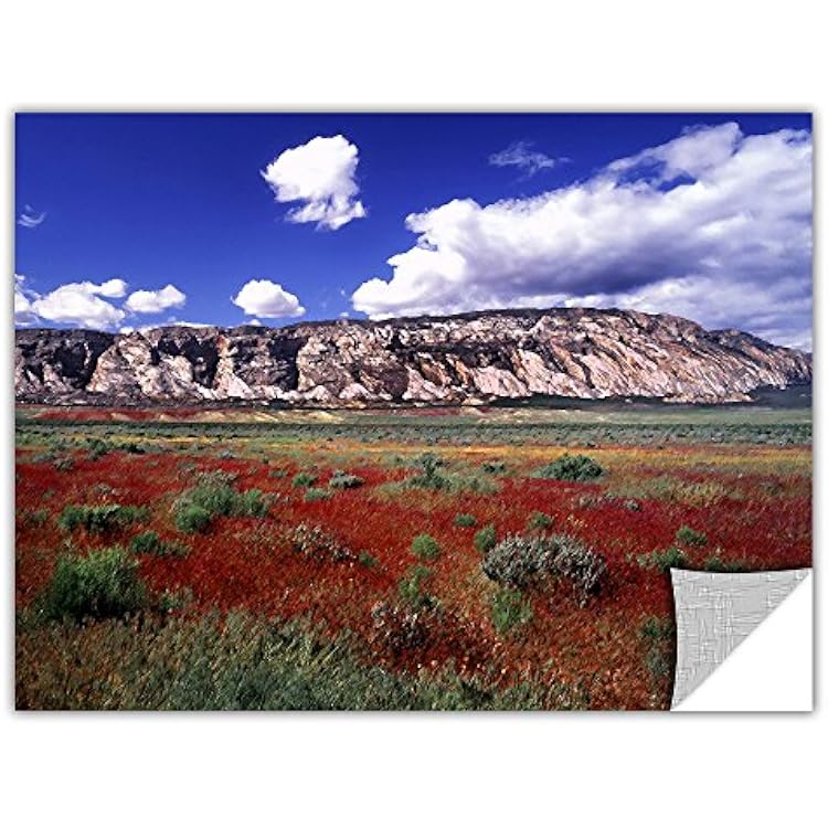 ArtWall Artapeelz Dean Uhlinger Dinosaur Colorado Removable Graphic Wall Art, 12 by 18-Inch
