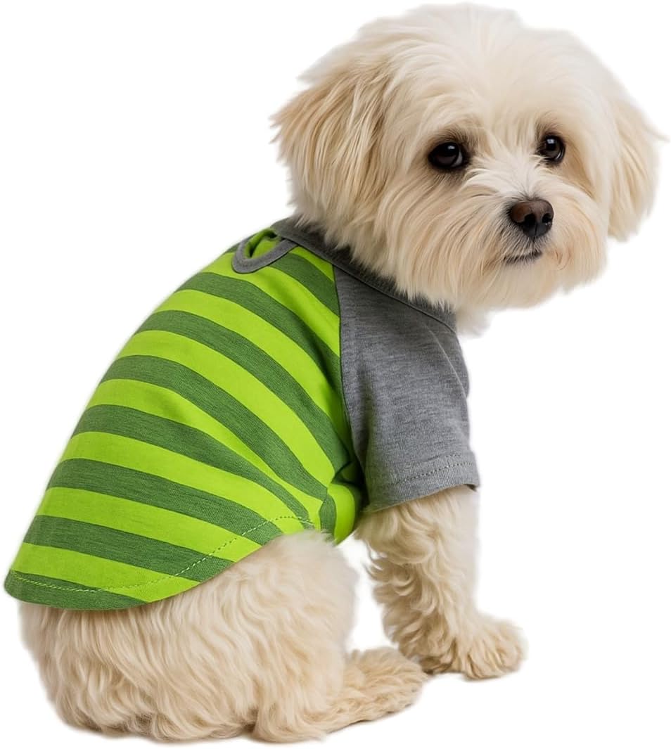 Kedi ve Köpek Kıyafeti & Elbisesi Yeşil Gri T Shirt XS