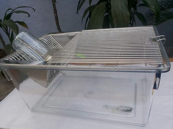 Lab Animal Cages Transparent Polycarbonate for Rat/Mice - by FedEx DELIVERY 5 Days