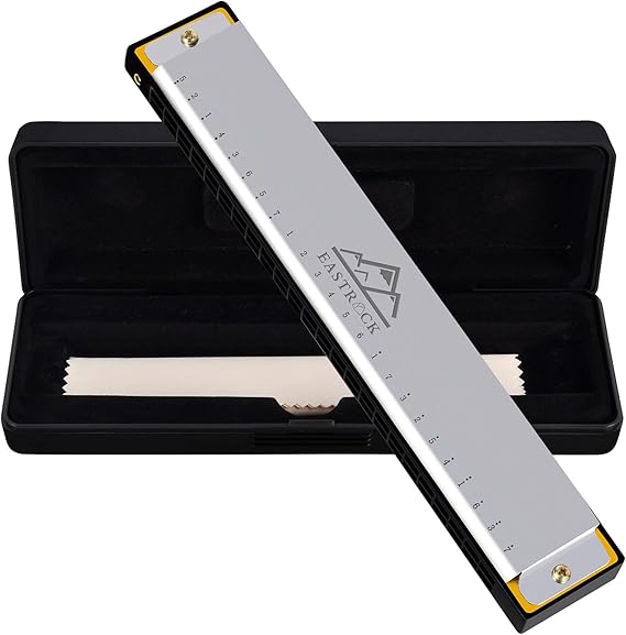 EastRock 24 Hole Blues Harmonica C Key Silver with Case for Adults Beginner