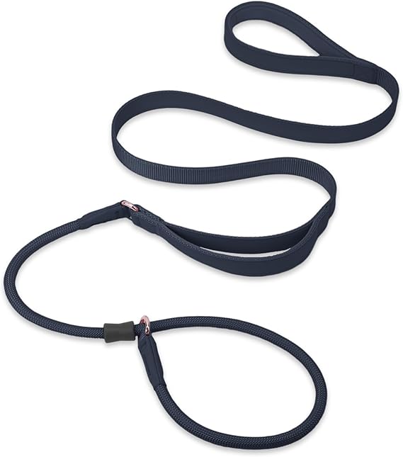 Slip Lead Dog Leash, Dog Training Leash with Double Handle, Soft Leather Slip Leash and Collar, Heavy Duty Nylon Dog Lead, No Pull Walking for Medium Large Small Dogs 5ft Black