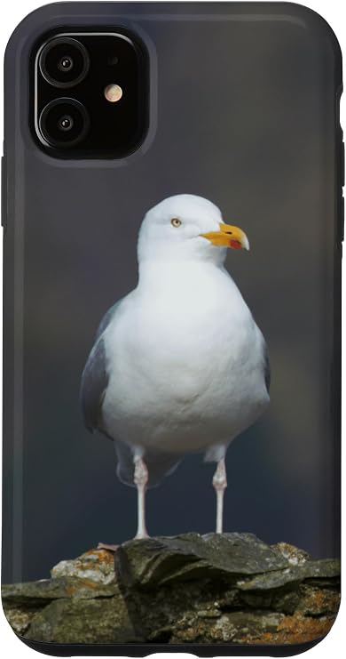iPhone 11 Herring Gull Case