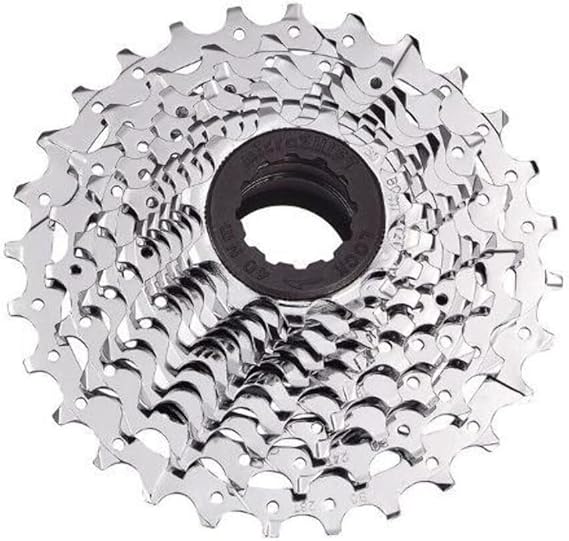 MICROSHIFT H10 Cassette 11-25T 10-Speed Chrome | bike-cassettes-and-freewheels