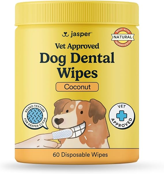 Jasper Dog Dental Wipes, Finger Tooth Wipes for Dogs, Coconut 60-Count | No-Brush Dual Texture Disposable Wipes for Fresh Breath, Daily Plaque & Tartar Control with Natural Ingredients, Vet Approved