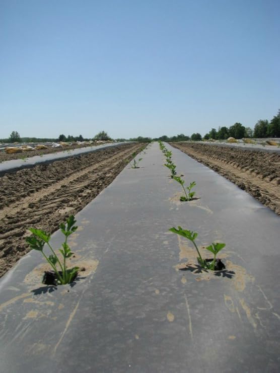 BioDegradable Plastic Mulch Film - Black - Eco-One OXO - 4 ft. X 600 ft. - .5 Mil Thick - By Growers's Solution