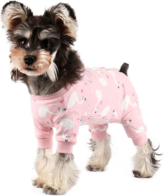 Dog Recovery Suit Female Male Dog Onesie for Surgery, Fit for Small Dogs Breed Dogs Surgical Suit After Surgery Pink Swan/XS