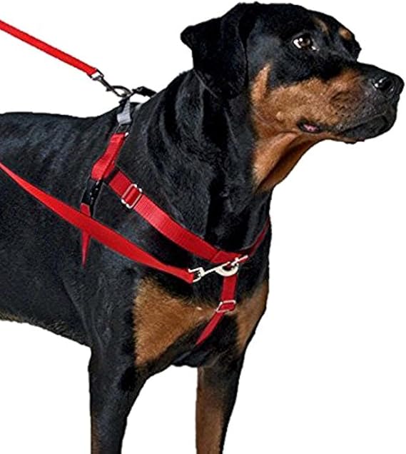 Freedom No Pull Dog Harness, Harness ONLY (Blue, Small)